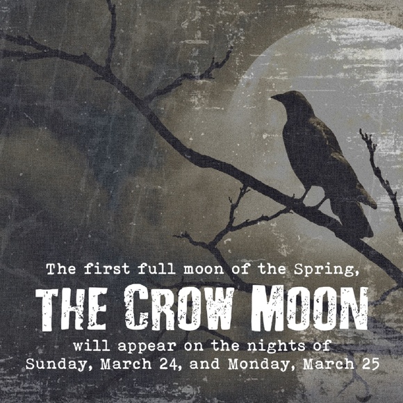 1 LEFT // crow moon buffalo tooth rosaries - Picture 3 of 17